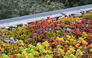 the cost of Pineham green roof installation