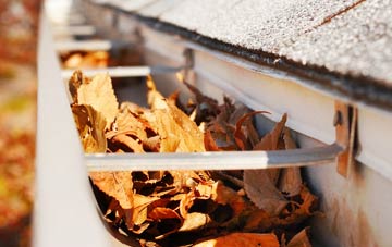 Pineham gutter cleaning companies