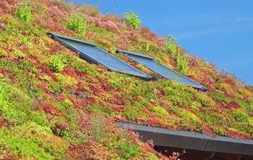 Pineham living roof systems